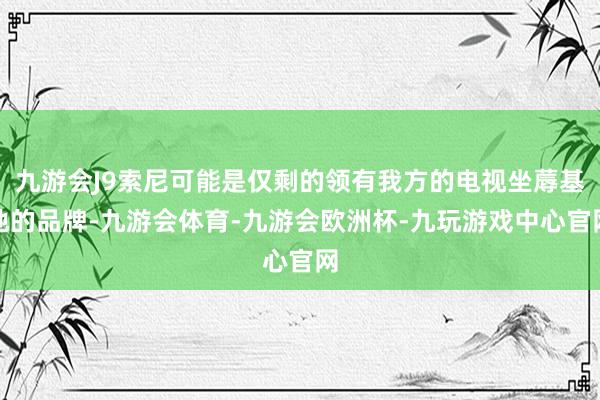 九游会J9索尼可能是仅剩的领有我方的电视坐蓐基地的品牌-九游会体育-九游会欧洲杯-九玩游戏中心官网