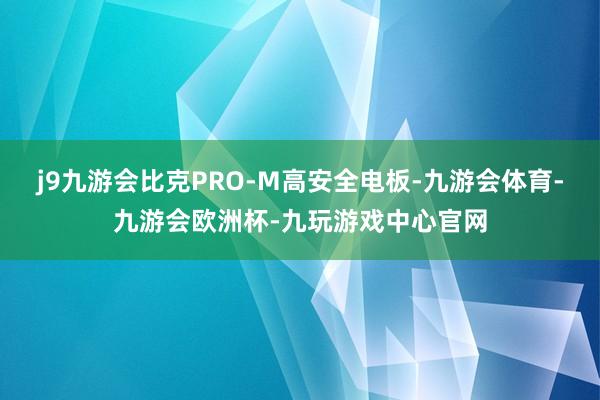 j9九游会比克PRO-M高安全电板-九游会体育-九游会欧洲杯-九玩游戏中心官网