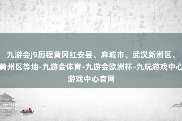 九游会J9历程黄冈红安县、麻城市、武汉新洲区、黄冈黄州区等地-九游会体育-九游会欧洲杯-九玩游戏中心官网